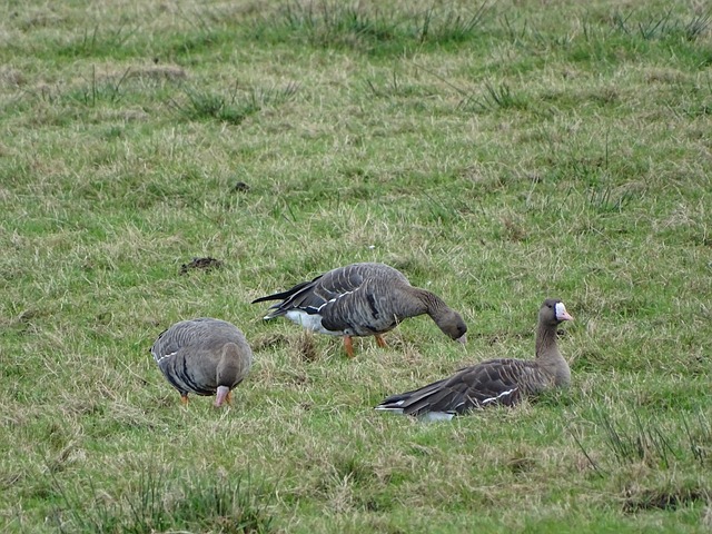 不得不承认 不得不承认