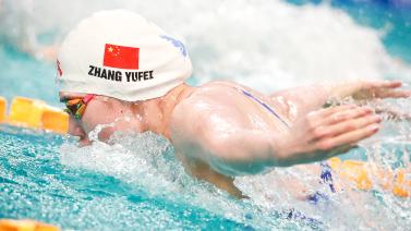 仅展示了顶 仅展示了顶