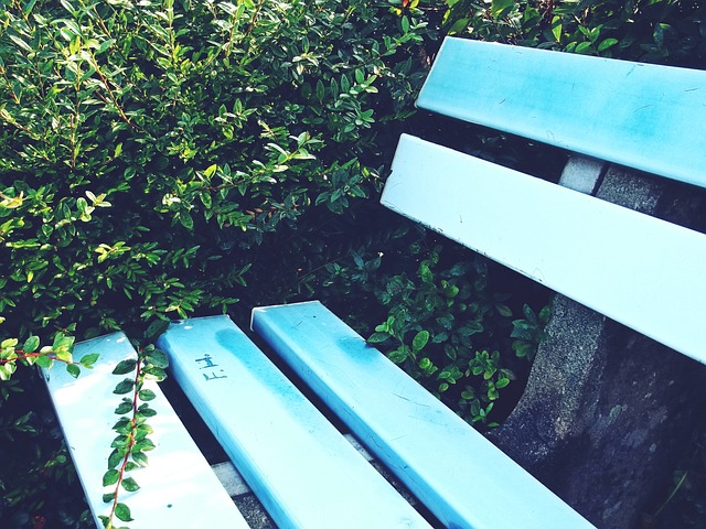 更珍贵的了 更珍贵的了